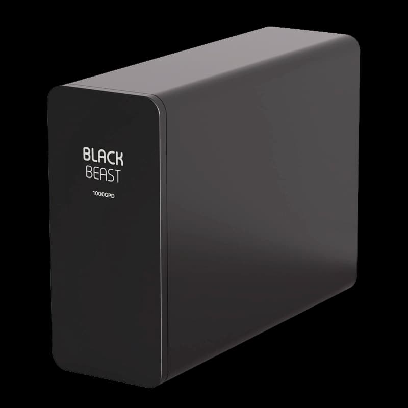 Black Beast